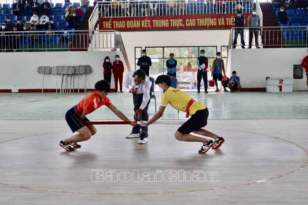 môn đẩy gậy 